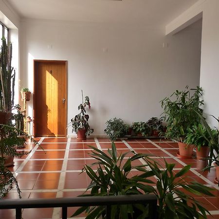 Residencial O Bras Hotell Alvaiázere Eksteriør bilde