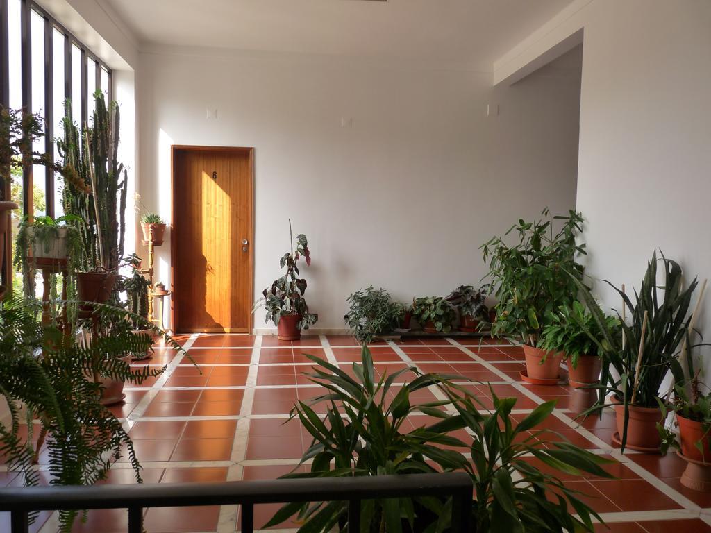 Residencial O Bras Hotell Alvaiázere Eksteriør bilde